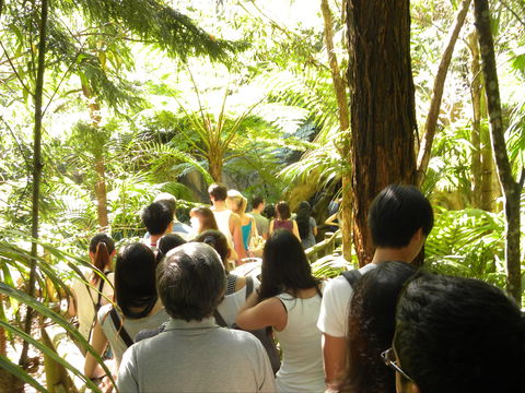 Tamborine Mountain Glow Worm Tours - Accommodation Sunshine Coast 1