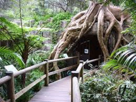 Tamborine Mountain Glow Worm Tours - Accommodation Sunshine Coast 2