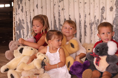 Tambo Teddies - Accommodation Sunshine Coast 0