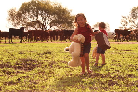 Tambo Teddies - Accommodation Sunshine Coast 1