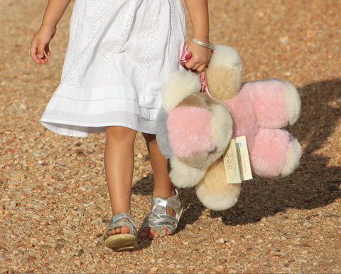 Tambo Teddies - Accommodation Sunshine Coast 2