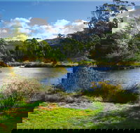 Tasmanian Arboretum Inc. - The - Accommodation Sunshine Coast