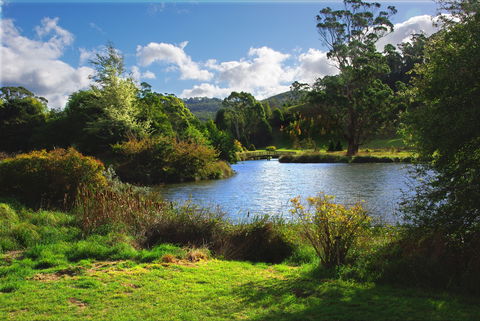 Tasmanian Arboretum Inc. - The - Accommodation Sunshine Coast 0