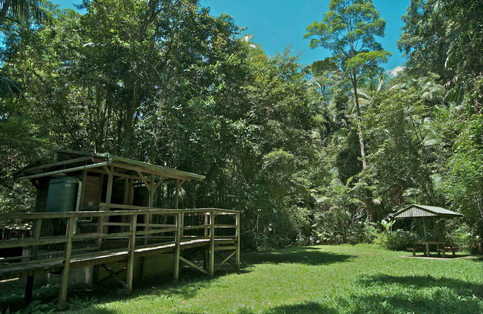 Terania Creek NSW Accommodation Sunshine Coast