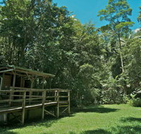 Terania Creek Picnic Area - Accommodation Sunshine Coast