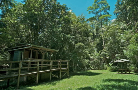 Terania Creek Picnic Area - Accommodation Sunshine Coast 0