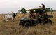 Texas Longhorn Tours - thumb 2