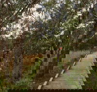 The Briars Park Walking Trails - Accommodation Sunshine Coast