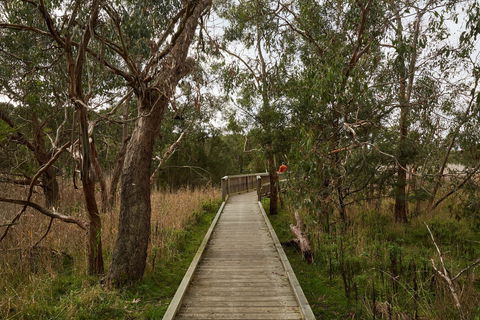 The Briars Park Walking Trails - Accommodation Sunshine Coast 0