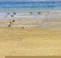Towra Beach - Accommodation Sunshine Coast