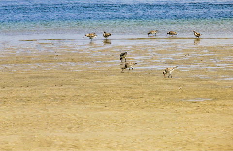 Towra Beach - Accommodation Sunshine Coast 0