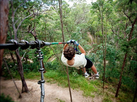 TreeTop Challenge - Accommodation Sunshine Coast 0