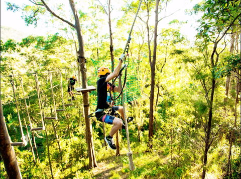 TreeTop Challenge - Accommodation Sunshine Coast 1