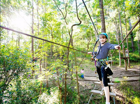 TreeTop Challenge - Accommodation Sunshine Coast 2