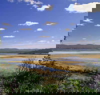 Wallagoot Lake Picnic Area and Boat Ramp - Accommodation Sunshine Coast