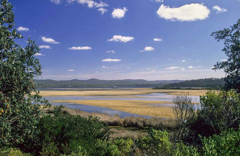 Wallagoot Lake Picnic Area And Boat Ramp - Accommodation Sunshine Coast 0