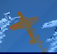 Warbird Aerial Adventures - Accommodation Sunshine Coast