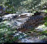 Washpools waterhole - Accommodation Sunshine Coast