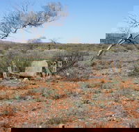 Winnecke Goldfield Cemetery - Accommodation Sunshine Coast