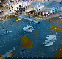 Wodonga Sports and Leisure Centre - Accommodation Sunshine Coast