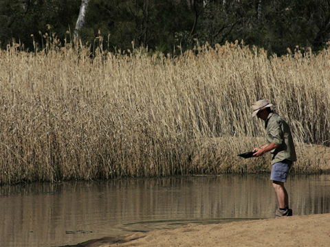 Wooldridge Recreation And Fossicking Reserve - Accommodation Sunshine Coast 2