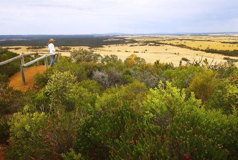 Archer Drive Scenic Drive And Lookout - Accommodation Sunshine Coast 0