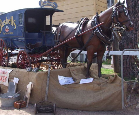 Arms Of Australia Inn Museum - Accommodation Sunshine Coast 2