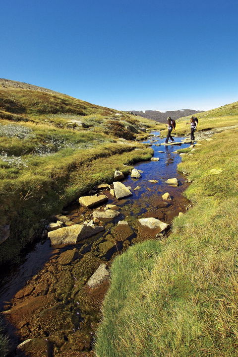 Australian Alps Walking Track - Accommodation Sunshine Coast 0