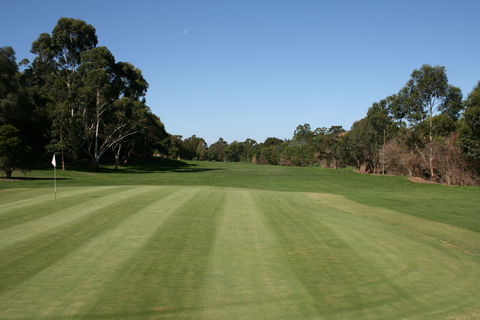 Bardwell Valley Golf Club Ltd - Accommodation Sunshine Coast 2