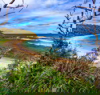 Bendalong Inyadda Beach - Accommodation Sunshine Coast
