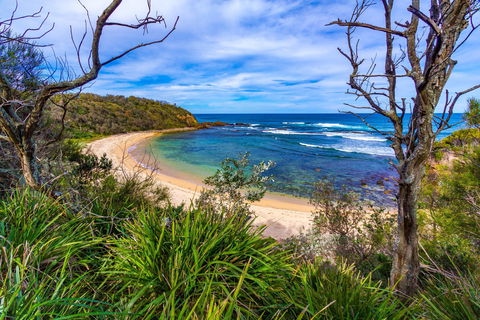 Bendalong (Inyadda) Beach - Accommodation Sunshine Coast 0