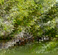 Berry Springs Nature Park - Accommodation Sunshine Coast