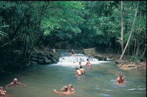 Berry Springs Nature Park - Accommodation Sunshine Coast 1