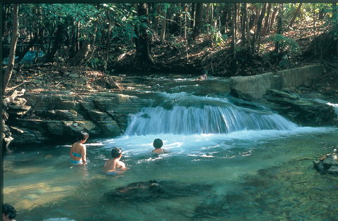 Berry Springs Nature Park - Accommodation Sunshine Coast 2