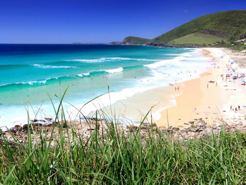Blueys Beach, Pacific Palms - Accommodation Sunshine Coast 1