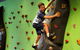 Bowlo Sports And Leisure Yamba - thumb 1