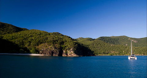 Butterfly Bay - Hook Island - Accommodation Sunshine Coast 0