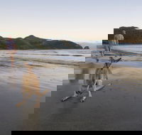 Cape Hillsborough National Park - Accommodation Sunshine Coast