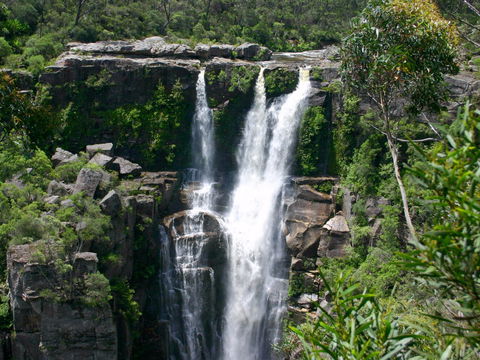 Carrington Falls - Accommodation Sunshine Coast 0