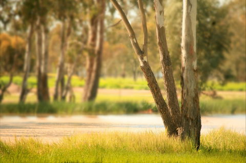 Cecil Plains To Tara Fishing Tour - Accommodation Sunshine Coast 1