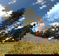 Colonial Golf and Footgolf Course - Accommodation Sunshine Coast