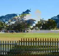 Cootamundra Cricketing Exploration - Accommodation Sunshine Coast