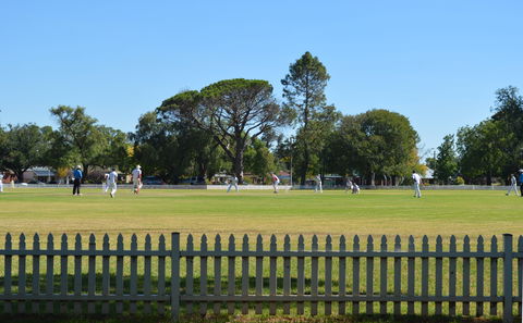 Cootamundra Cricketing Exploration - Accommodation Sunshine Coast 0