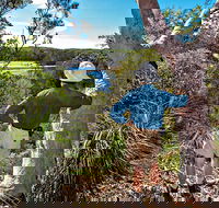 Corkwood and Scribbly Gum Walking Track - Accommodation Sunshine Coast