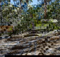 Couridjah Corridor Walk - Accommodation Sunshine Coast