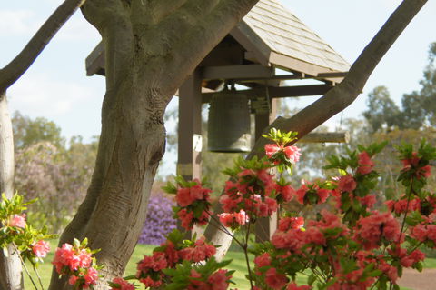 Cowra Japanese Garden And Cultural Centre - Accommodation Sunshine Coast 1