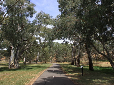 Dead Mans Pass - Accommodation Sunshine Coast 0