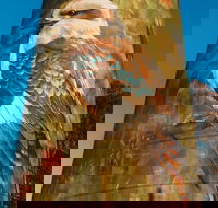 Deniliquin Water Tower Mural - Accommodation Sunshine Coast