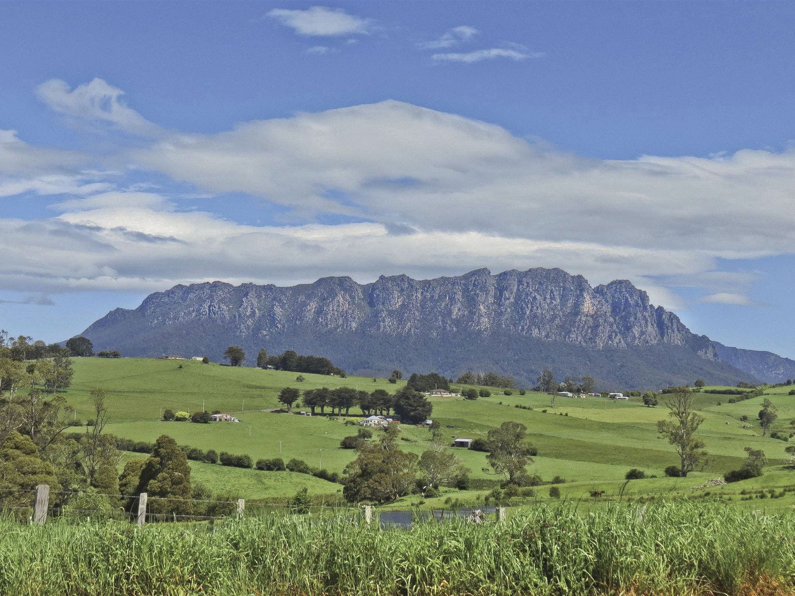 Reedy Marsh TAS Accommodation Sunshine Coast