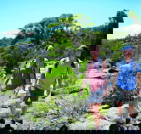 Eukey - Accommodation Sunshine Coast